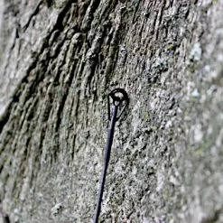 Hengel Ashima FFX-F -Hengel Winkel 005d0d6366159e5f