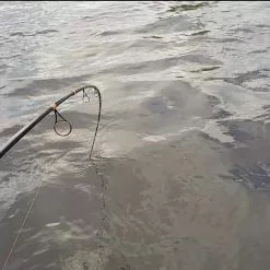 Patriot Pike Specialist Hyrräkelavapa Baitcasthengel 2.44m (15-75g) -Hengel Winkel 0341af46ae7395a6