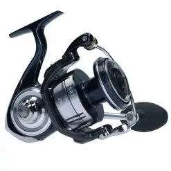 DAIWA 21 Certate SW Zeevis Molen -Hengel Winkel 50c89d3def04ce6d