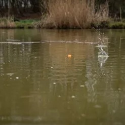 Visspullen Matrix Pellet Waggler (2 Reviews) -Hengel Winkel 5fc28774c519b461