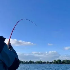 Patriot Pikehound Hyrräkelavapa Baitcasthengel -Hengel Winkel 64361a56c6f9218f