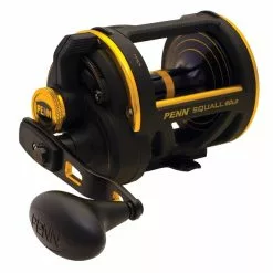 Molen Penn Squall Lever Drag Reel (4 Reviews)