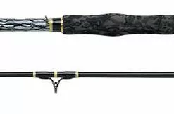 WFT Catbuster Bank Meervalhengel 2,70m (200-1200g)