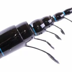 Sensas Drava Carpe Bolognese Hengel (4 Reviews) -Hengel Winkel 8dbb6a74f0c8a796