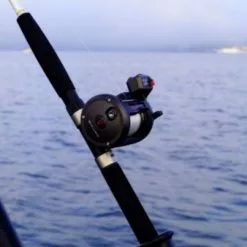 Molen Rhino TR LC (1 Review) -Hengel Winkel 927da244fa0c5d9e