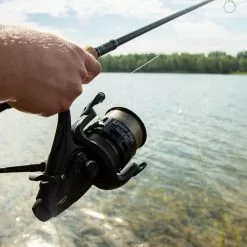 Molen Ultimate Carp FSE 6000 (11 Reviews) 16 Molen Ultimate Carp FSE 6000 (11 Reviews) -Hengel Winkel ab6d730ac644c6d6 scaled