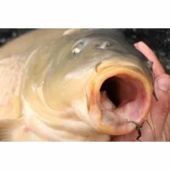 Visspullen Korda Mixa Hook -Hengel Winkel b08ef26f90f8b1c4