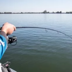 Patriot Ace Doodaashengel 10ft (3lb) -Hengel Winkel c9ebfe8223b8b4ed