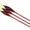 Visspullen Ultimate Classic Carp Float Set 0,5g+1g+1,5g (7 Reviews)