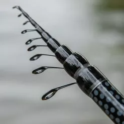 Ultimate Supreme Bolognese Hengel (35 Reviews) -Hengel Winkel db363a81d39cd9ce scaled