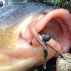 Visspullen PB Products Downforce Tungsten Shot On The Hook Beads (1 Review) 5 Visspullen PB Products Downforce Tungsten Shot On The Hook Beads (1 Review) -Hengel Winkel ffd2cb9e1081c1f5 1